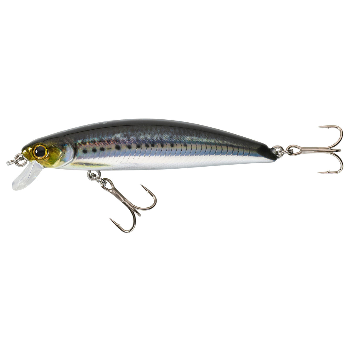 SAXTON 75 S Blue Sardine