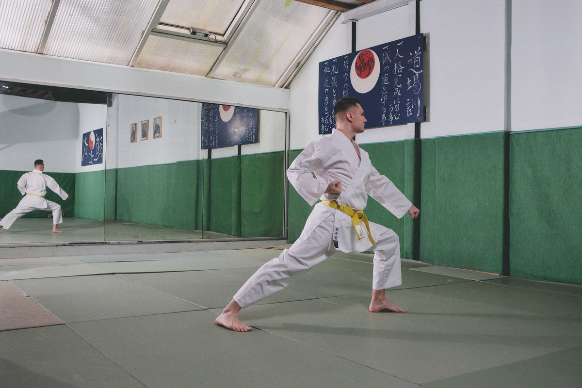 Karate 100 Adult