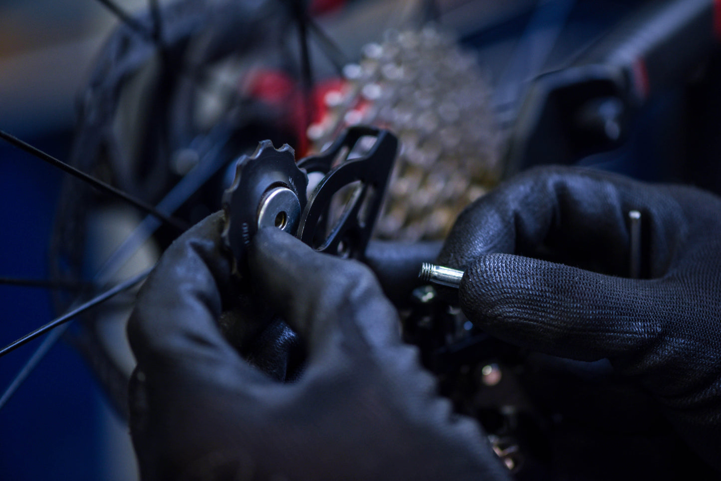Derailleur or Jockey Wheels Replacement