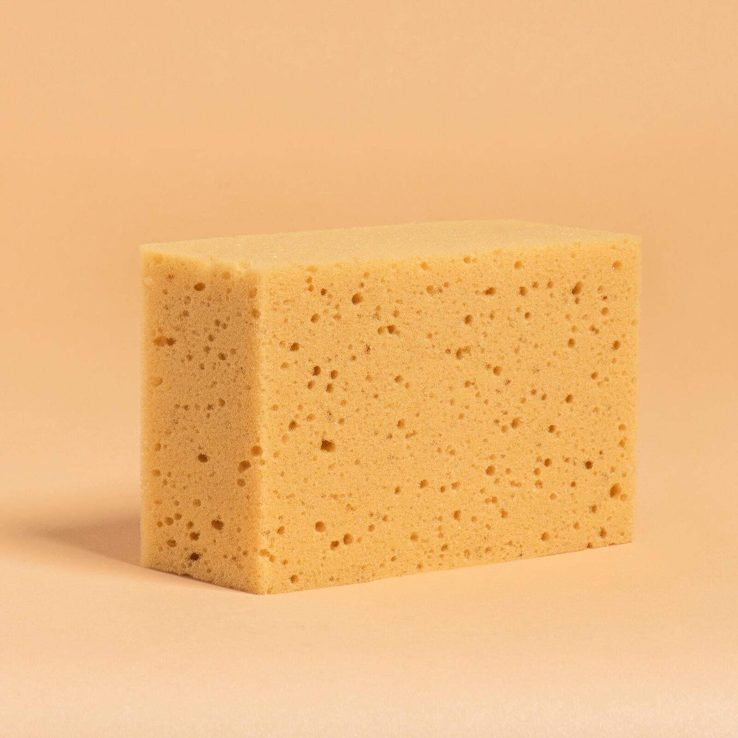 HORSE CARE SPONGE FGZ