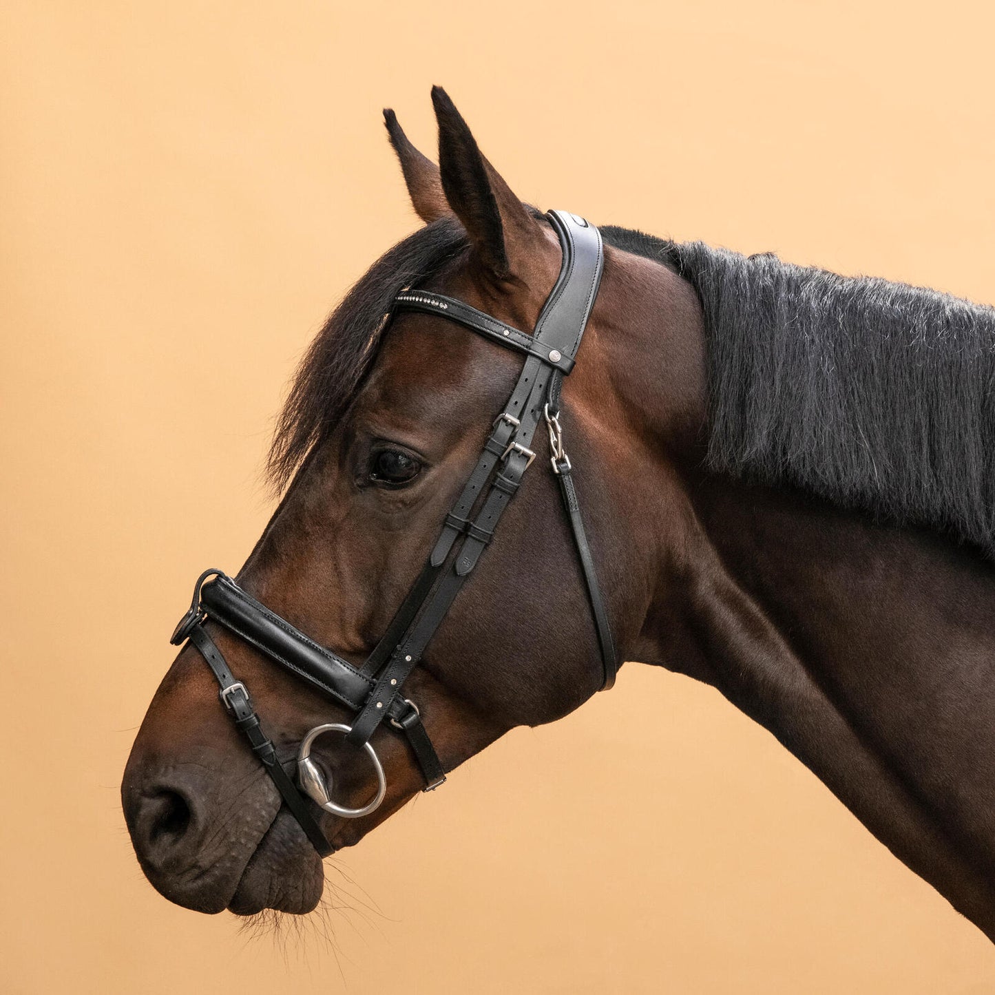 Horse Riding Leather Bridle With French Noseband 580 - Black Rhinestones