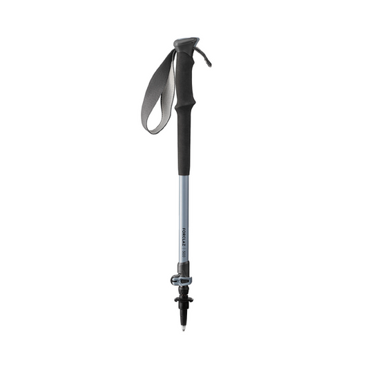 1 POLE FORCLAZ 500 GREY