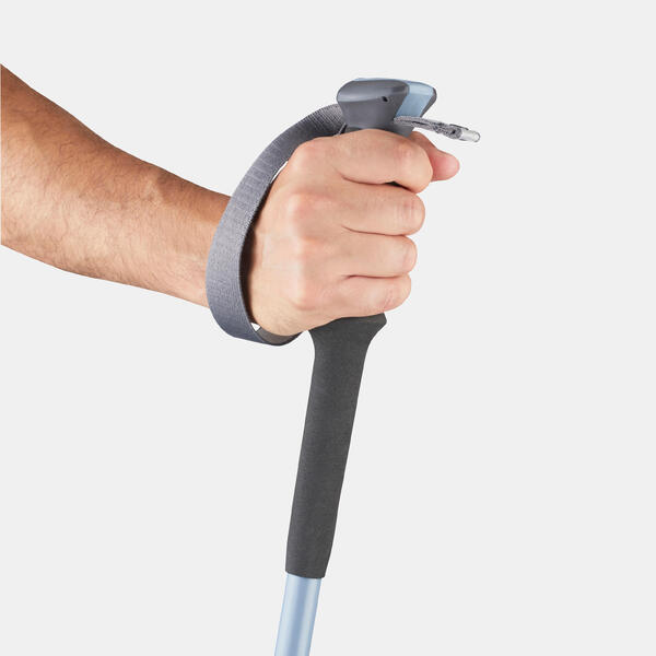 1 POLE FORCLAZ 500 GREY