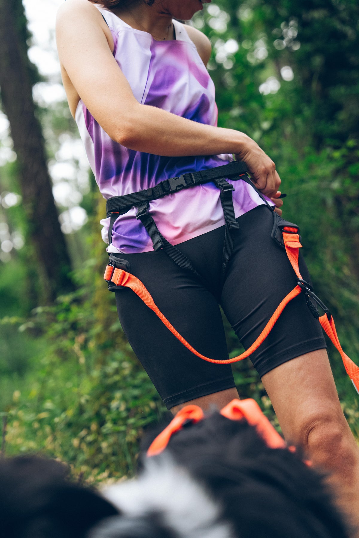 CANICROSS HARNESS