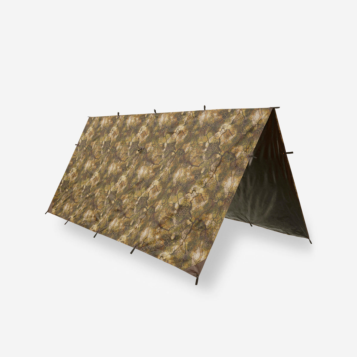 TARP