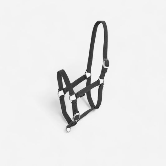 Schooling Horse Riding Halter for Horse and Pony - Black