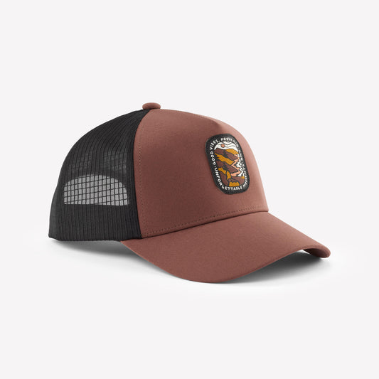 CAP TRUCKER 500 BROWN BLACK