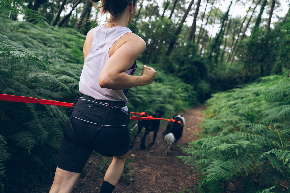 CANICROSS HARNESS