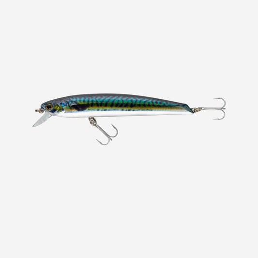 SAXTON 110 F ANCHOVY