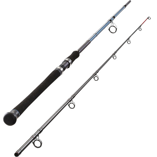 SEACOAST-5 290/2 SEA FISHING ROD