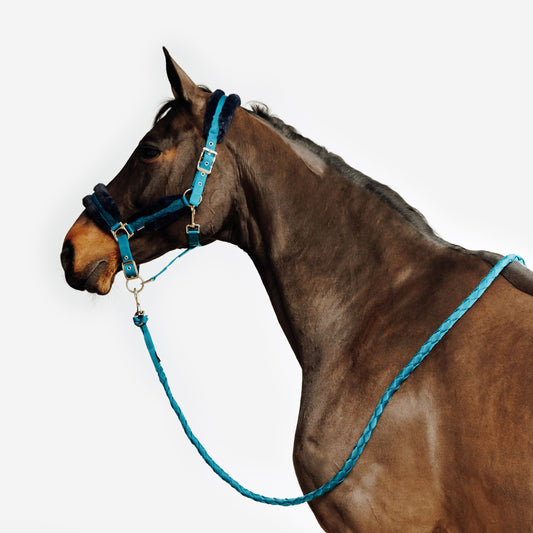 Horse Riding Halter and Leadrope Set for Horse and Pony Comfort - Duck Blue