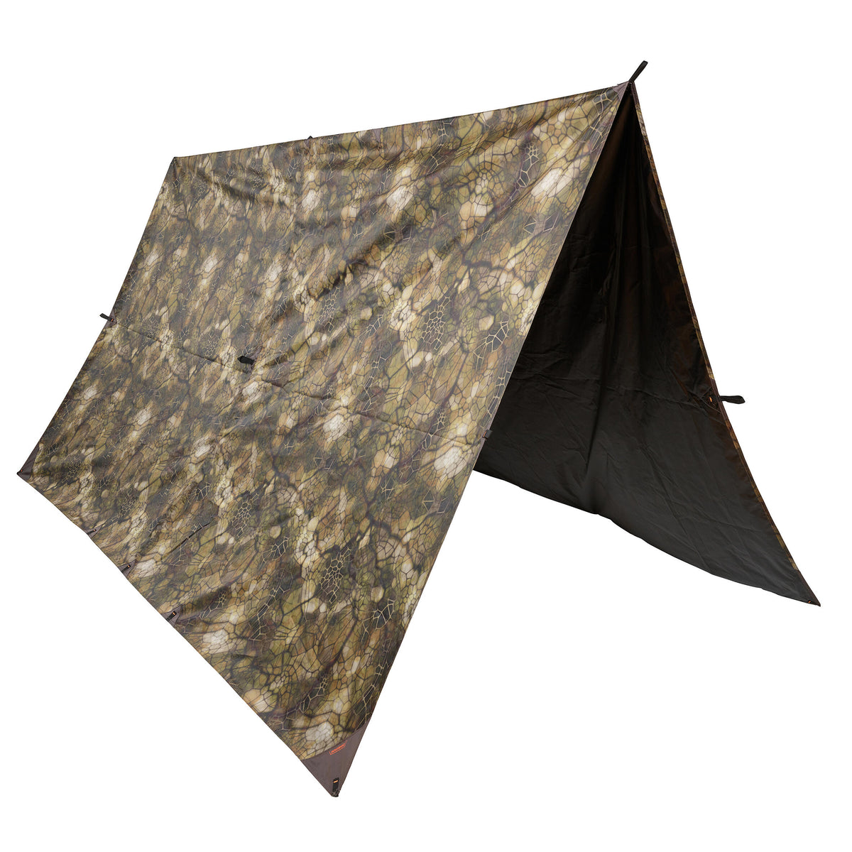TARP