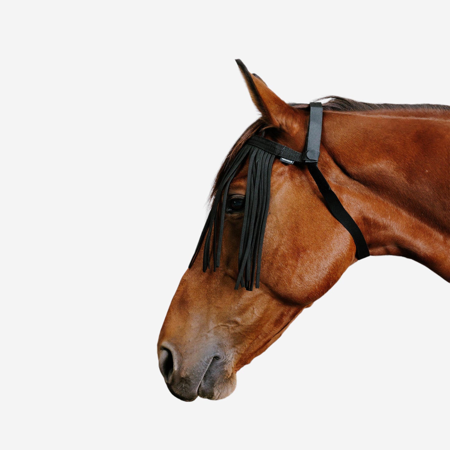 Horse Riding Pasture Fly Fringe for Horse and Pony - Black