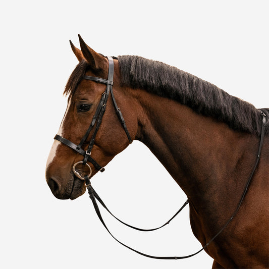 BRIDLE 100 LEATHER BLACK