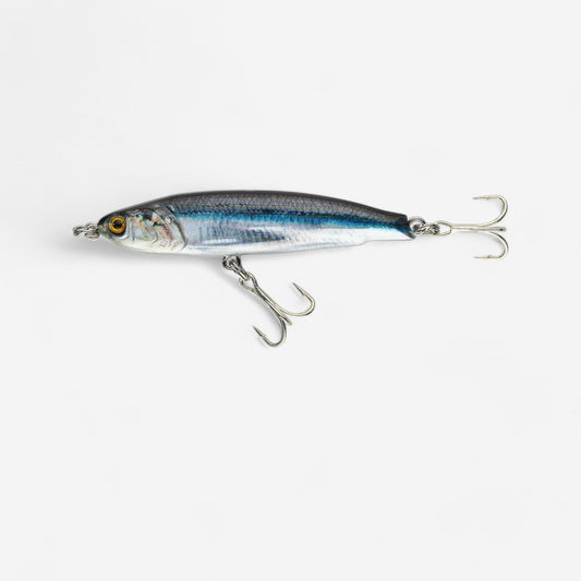 ANCHO LM 60 US Anchovy