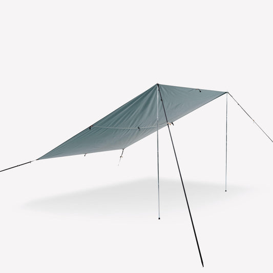 TARP L NEW