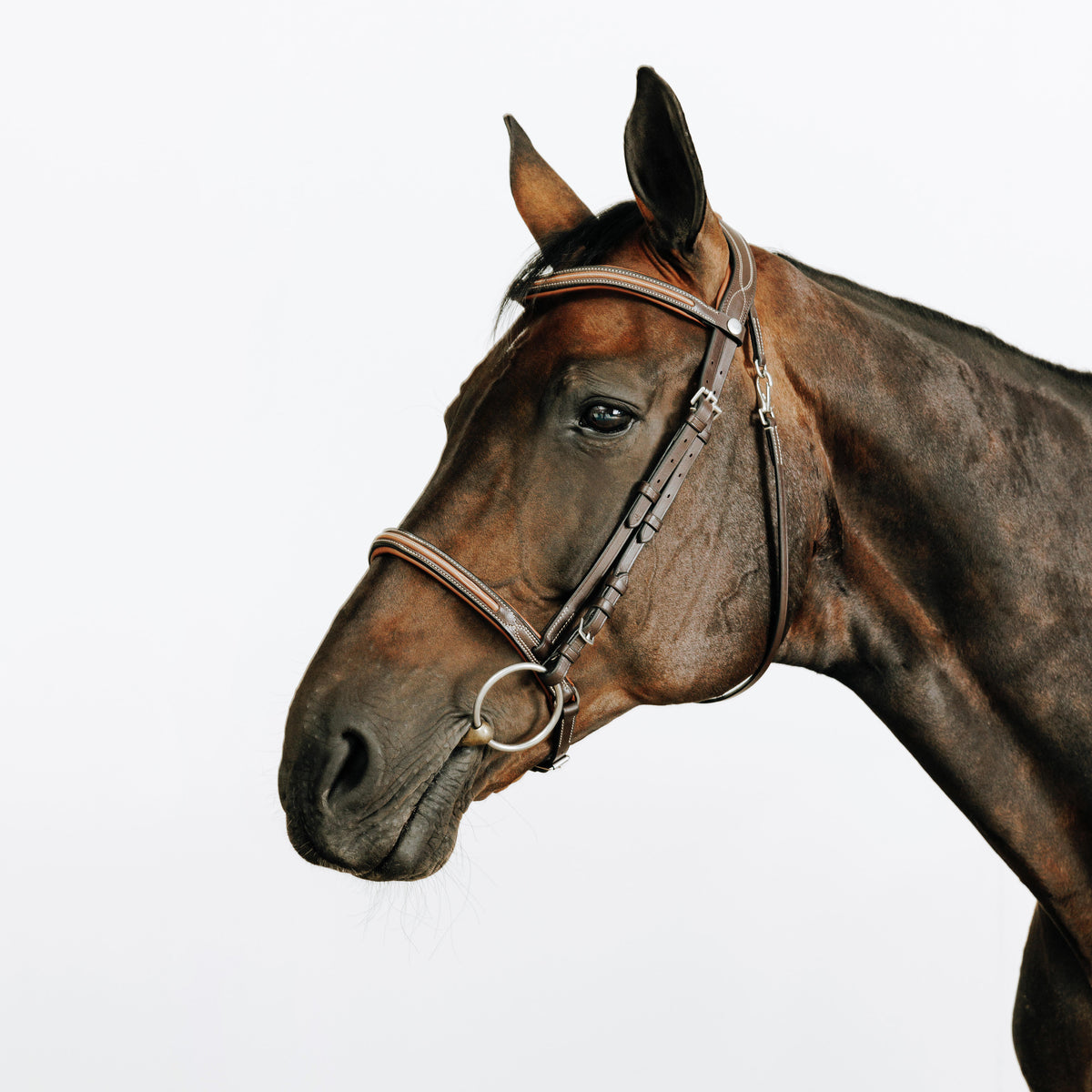 BRIDLE 580 CONNECT TOPSTITCHED BROWN