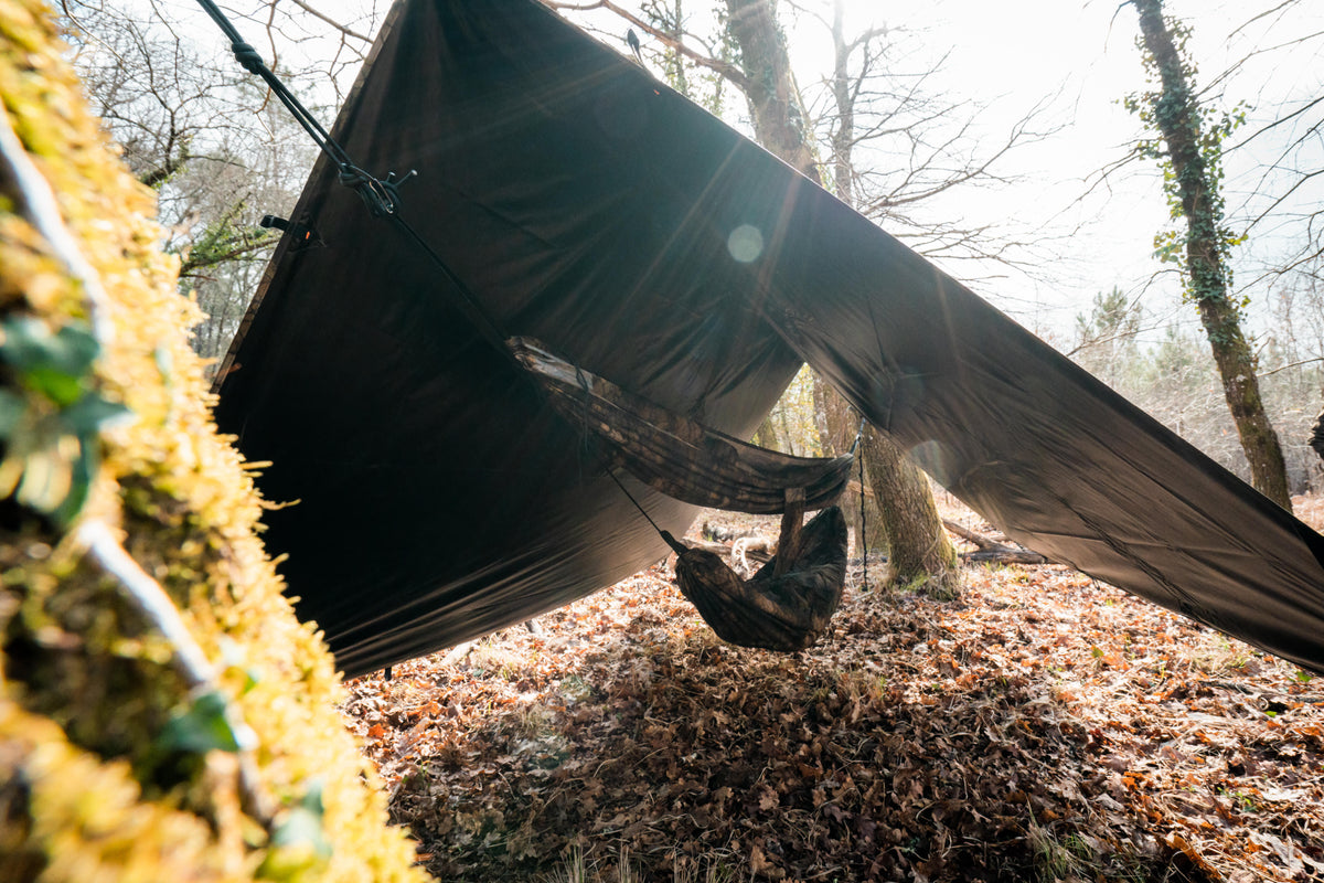 TARP