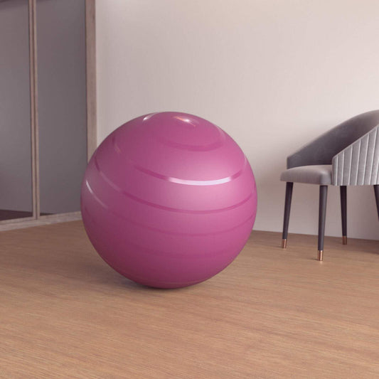 SWISS BALL BASIC LARGE BORDEAUX