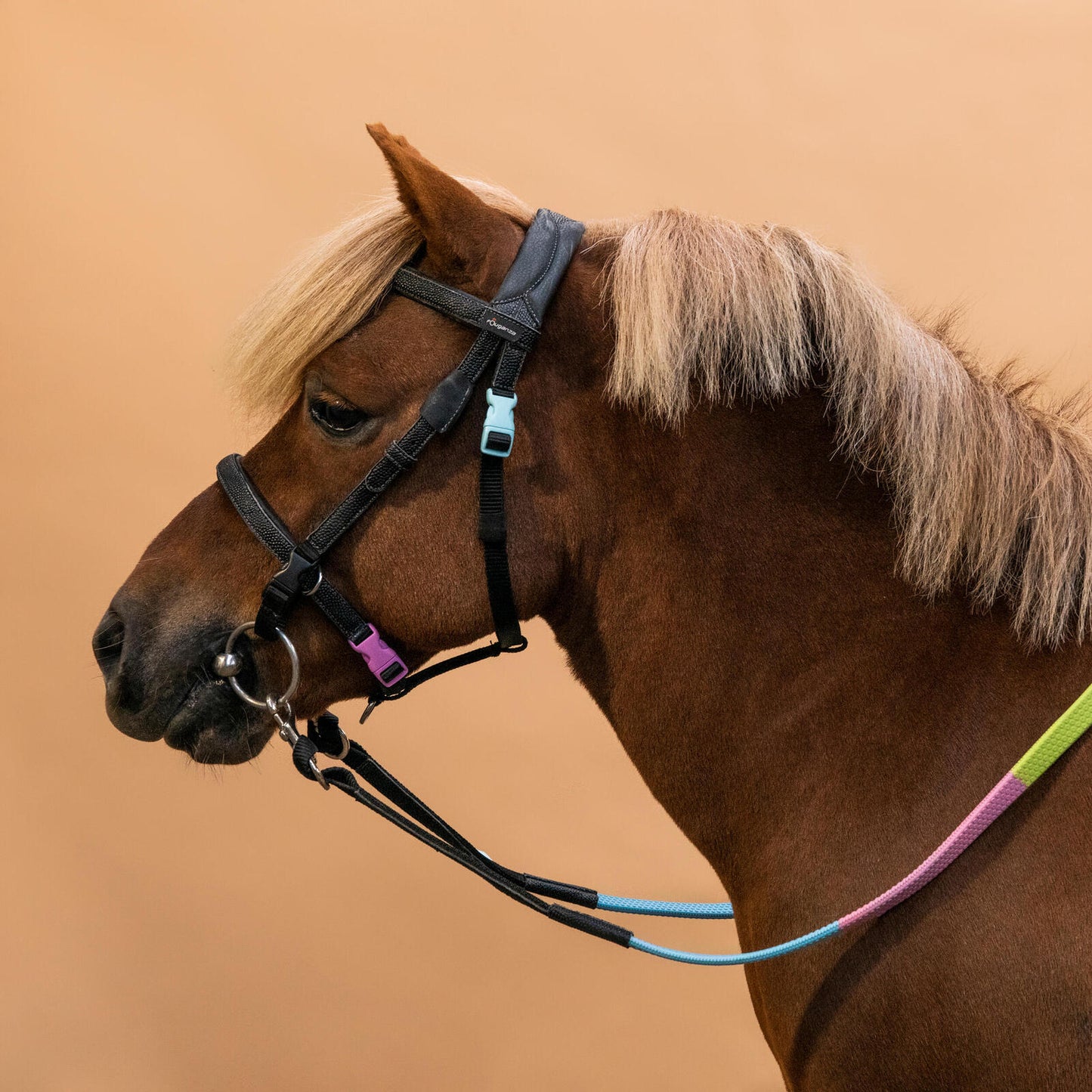 BRIDLE INITIATION 100 PONY BLACK