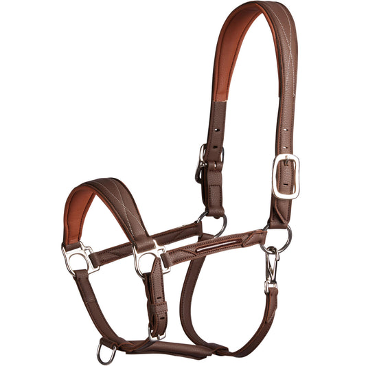 HALTER 500 SYNTHE BROWN